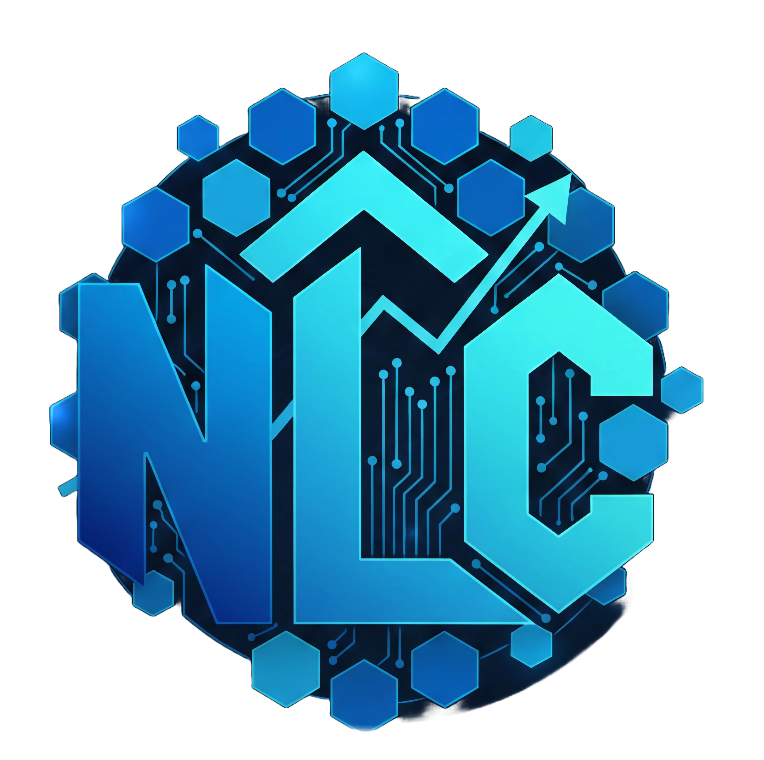 nextlevelcapital.org